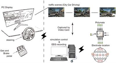 Assessment of driver fatigue-related brain responses and causal factors during driving under different traffic conditions